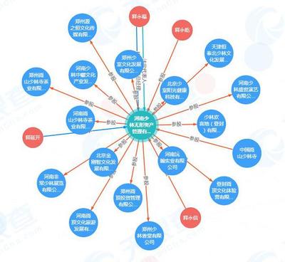少林寺進(jìn)軍房地產(chǎn) 無形資產(chǎn)對外投資16家公司的戰(zhàn)略布局與管理